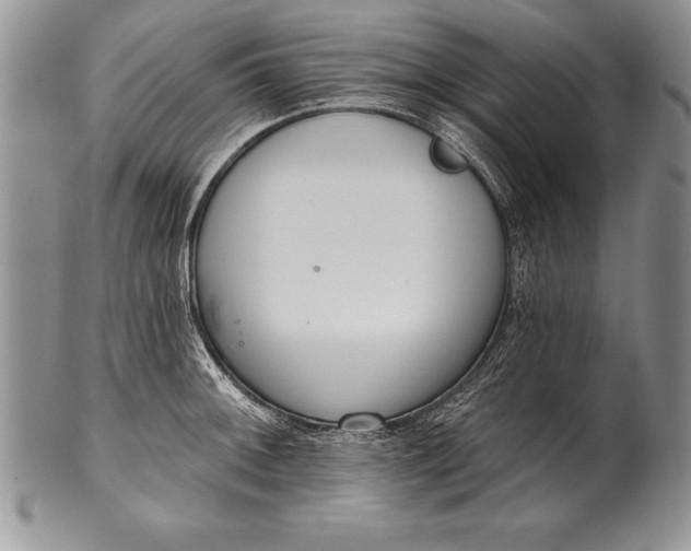 X0000100411092200806201754