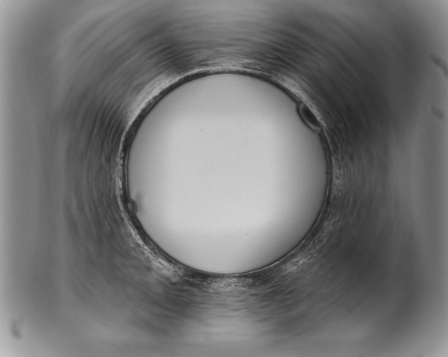 X0000100411093200806201754