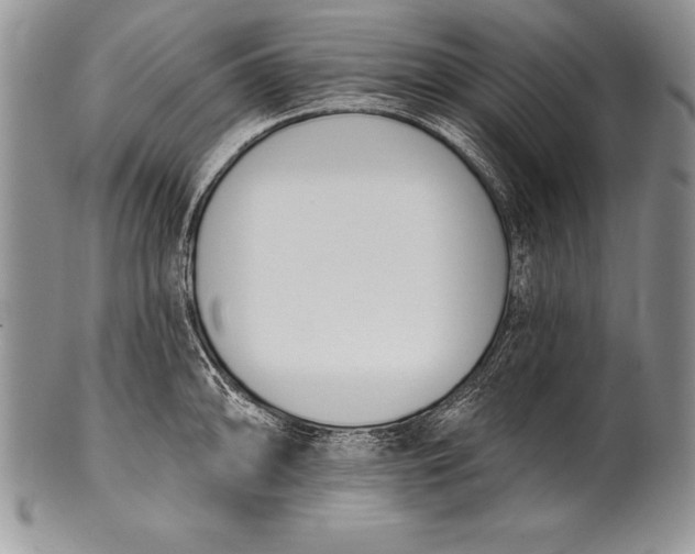 X0000100411094200806201754