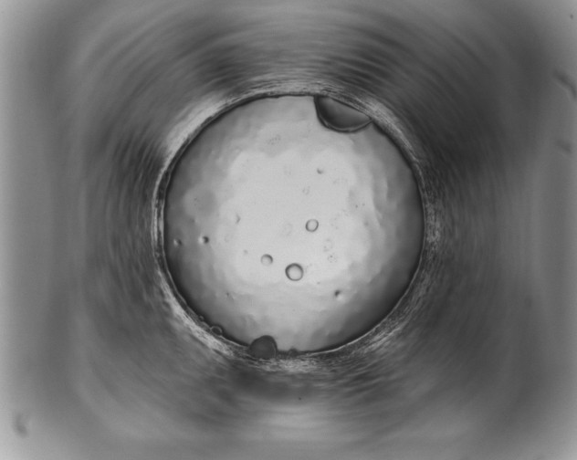 X0000100411095200806201753