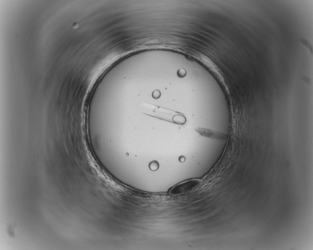 X0000100411096200806201753