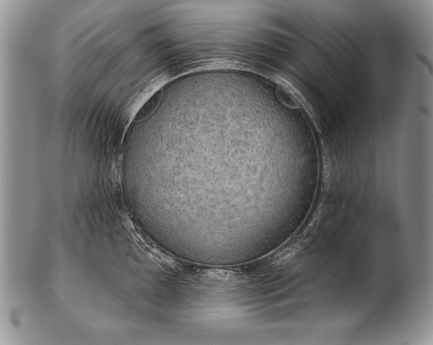 X0000100411097200806201753