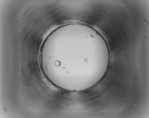 X0000100411098200806201753