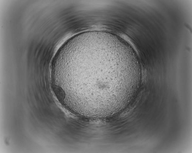 X0000100411099200806201753