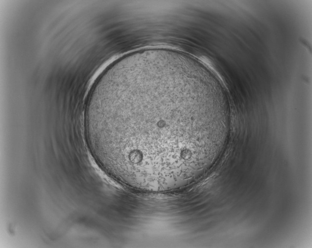 X0000100411100200806201753