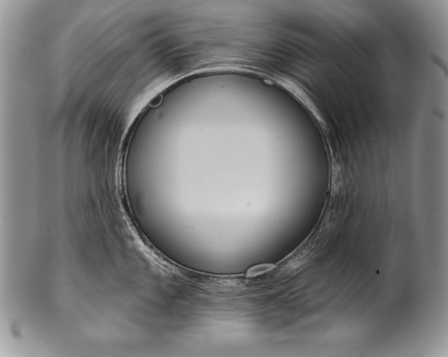 X0000100411101200806201753