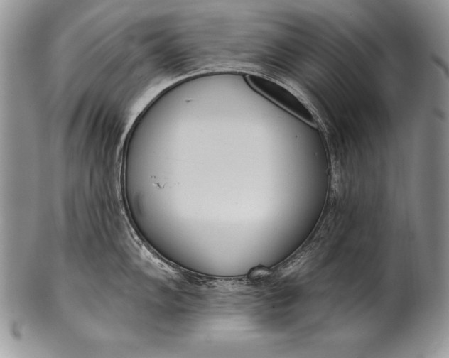 X0000100411102200806201753