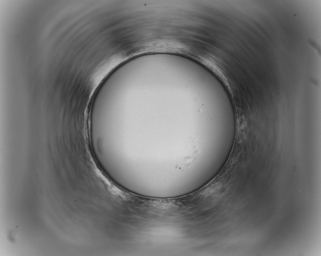 X0000100411103200806201753