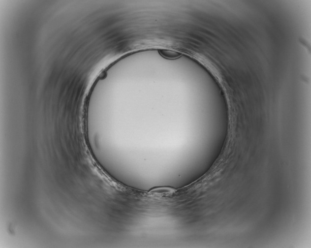 X0000100411104200806201753