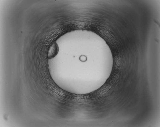 X0000100411105200806201753