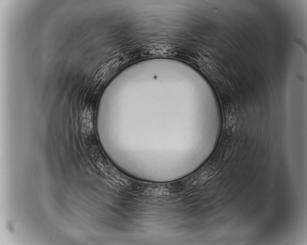 X0000100411106200806201753