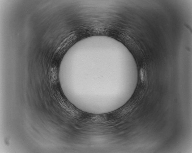 X0000100411107200806201753