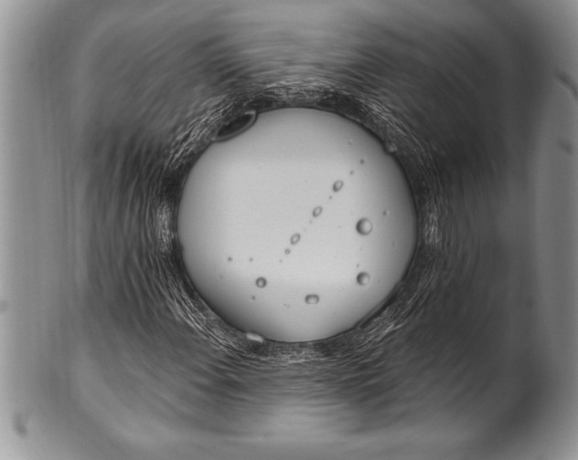 X0000100411108200806201753