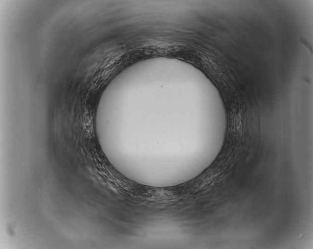 X0000100411109200806201753