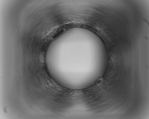 X0000100411110200806201753