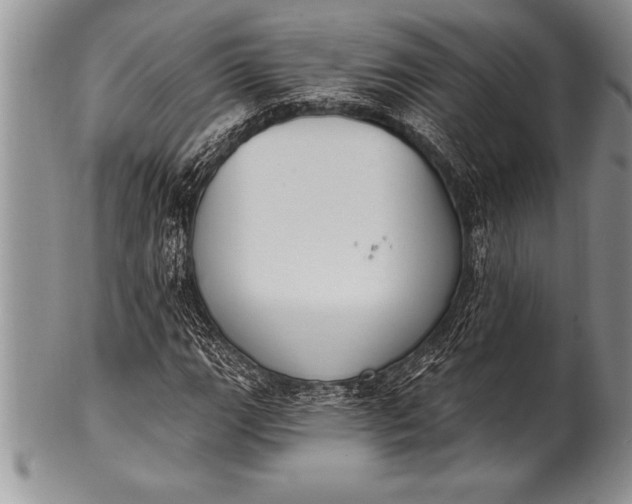 X0000100411111200806201753