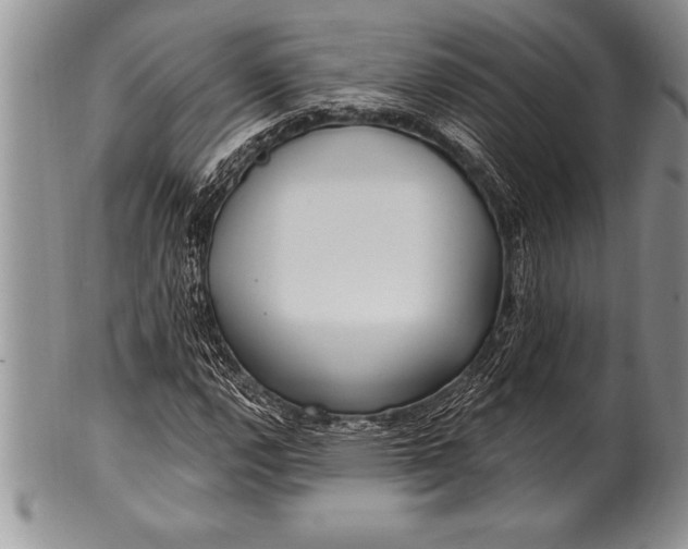 X0000100411112200806201753