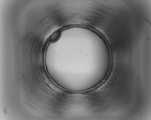 X0000100411114200806201753