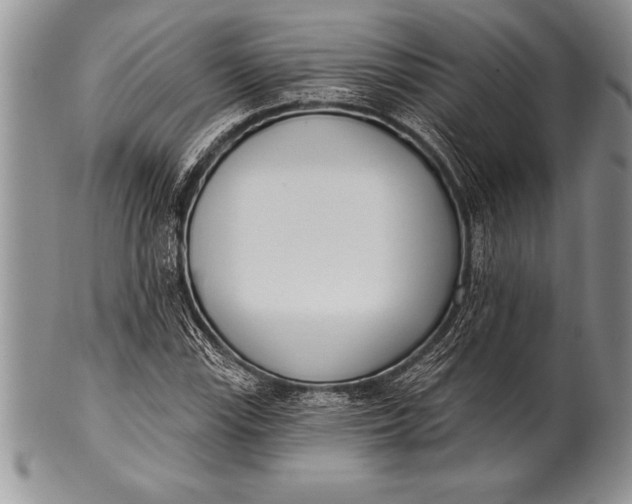 X0000100411115200806201753