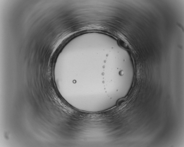 X0000100411116200806201753