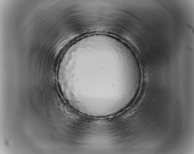 X0000100411117200806201753