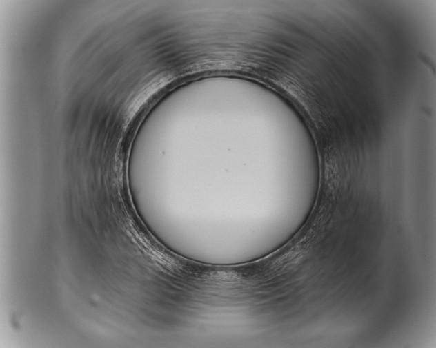 X0000100411119200806201753