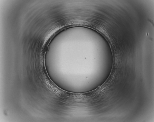 X0000100411120200806201753