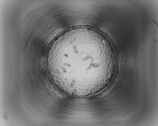 X0000100411121200806201753