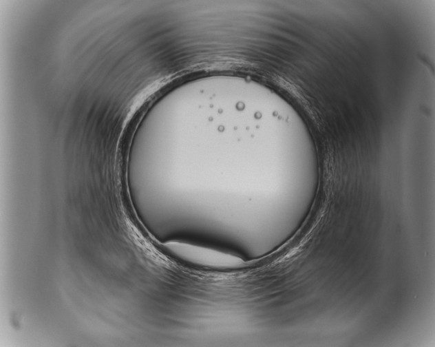 X0000100411122200806201753