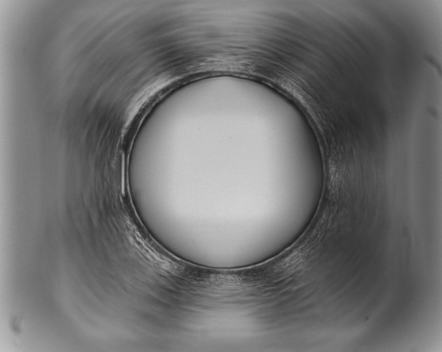 X0000100411123200806201753