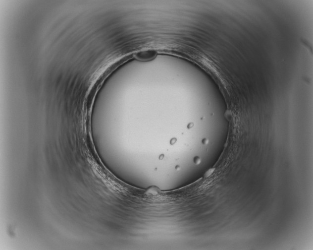 X0000100411124200806201753