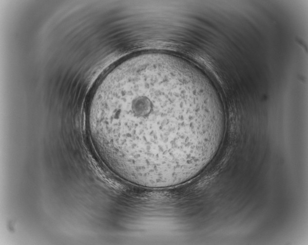 X0000100411125200806201753