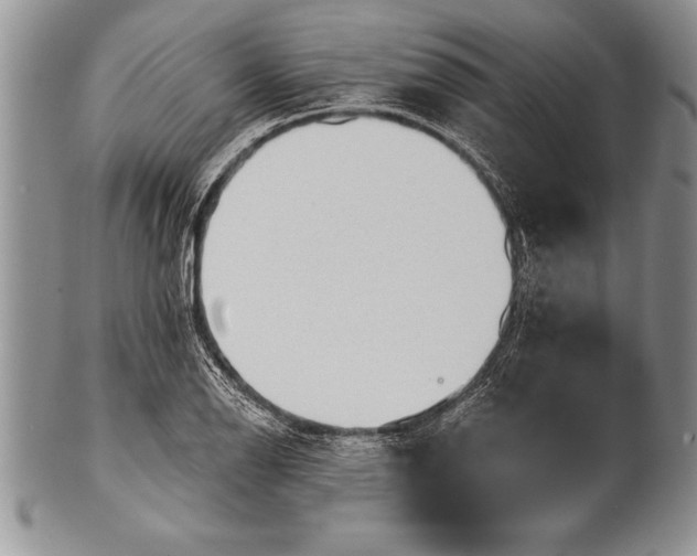 X0000100411126200806201753