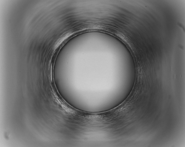 X0000100411127200806201753