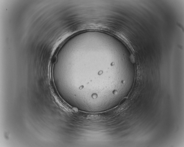 X0000100411128200806201753