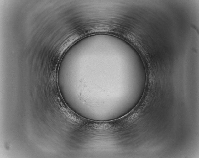 X0000100411129200806201753