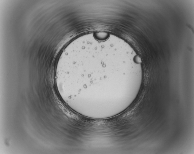 X0000100411130200806201753