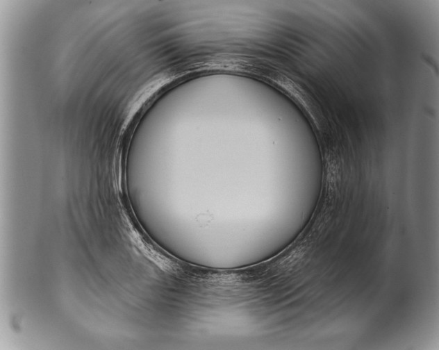 X0000100411131200806201753