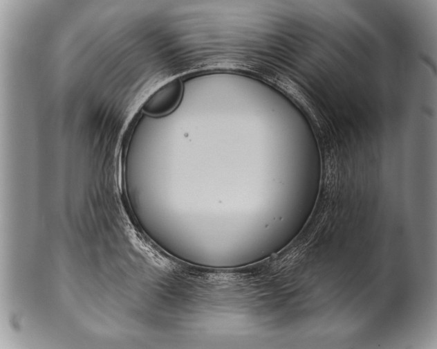 X0000100411132200806201753