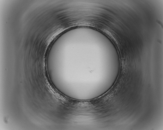 X0000100411133200806201753