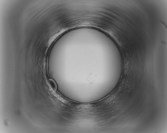 X0000100411134200806201753