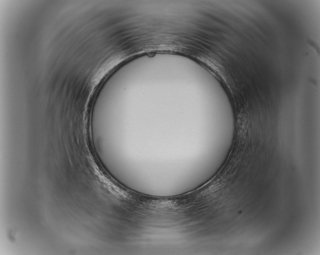 X0000100411135200806201753