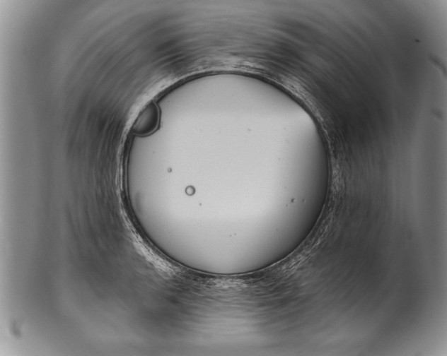 X0000100411136200806201753