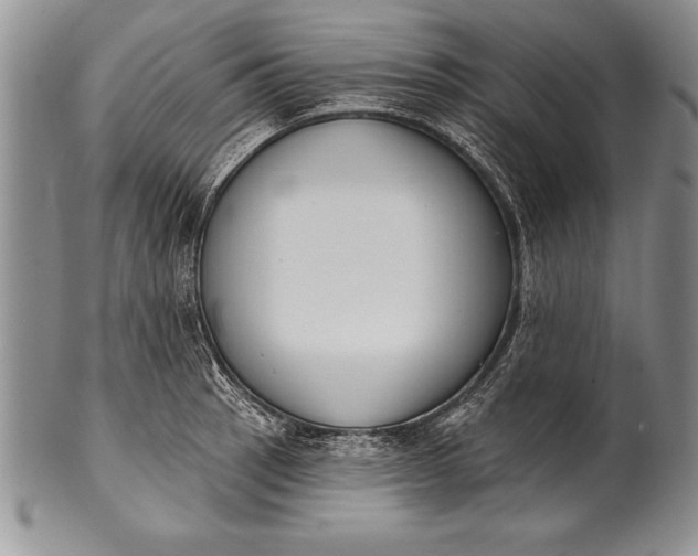 X0000100411137200806201753