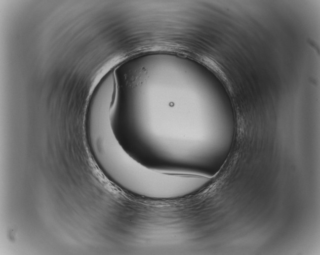 X0000100411138200806201753