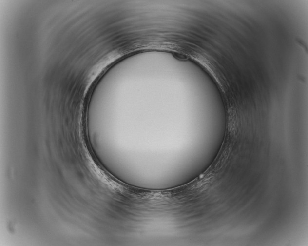 X0000100411139200806201753