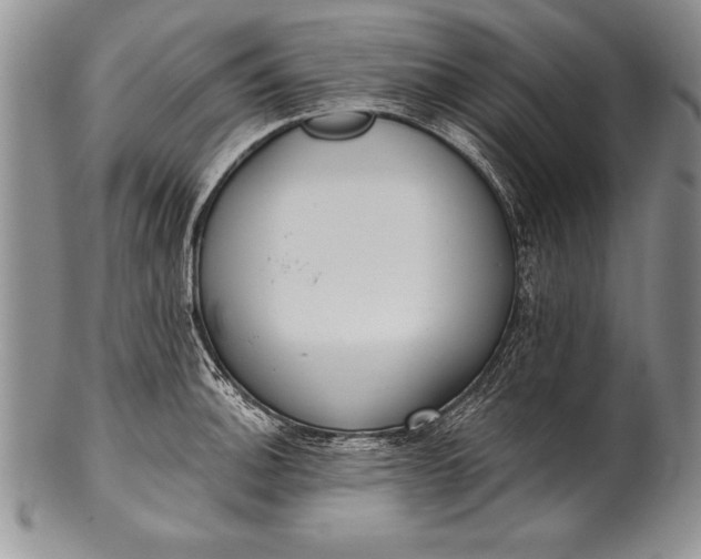 X0000100411140200806201753