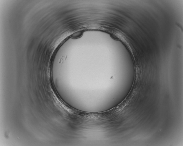 X0000100411141200806201753