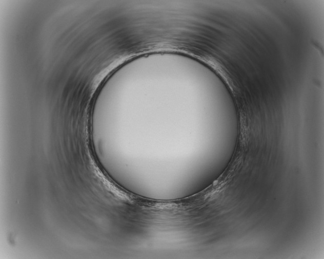 X0000100411142200806201753