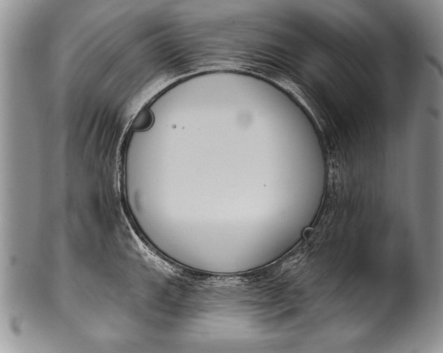 X0000100411143200806201753